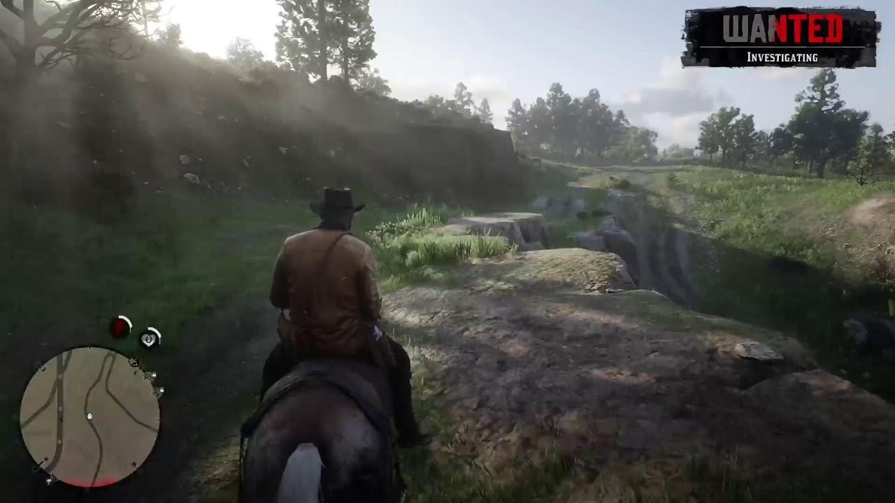 Playing rdr2