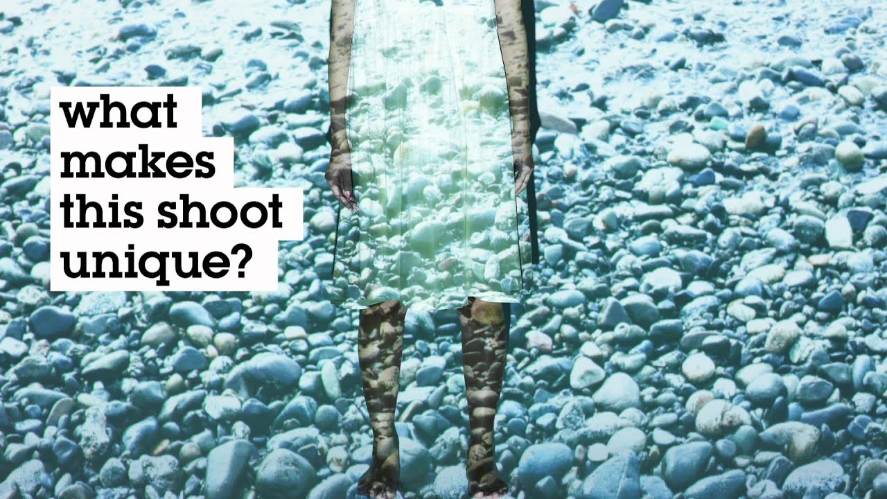Shoot The Shoot. Sot. Projection.