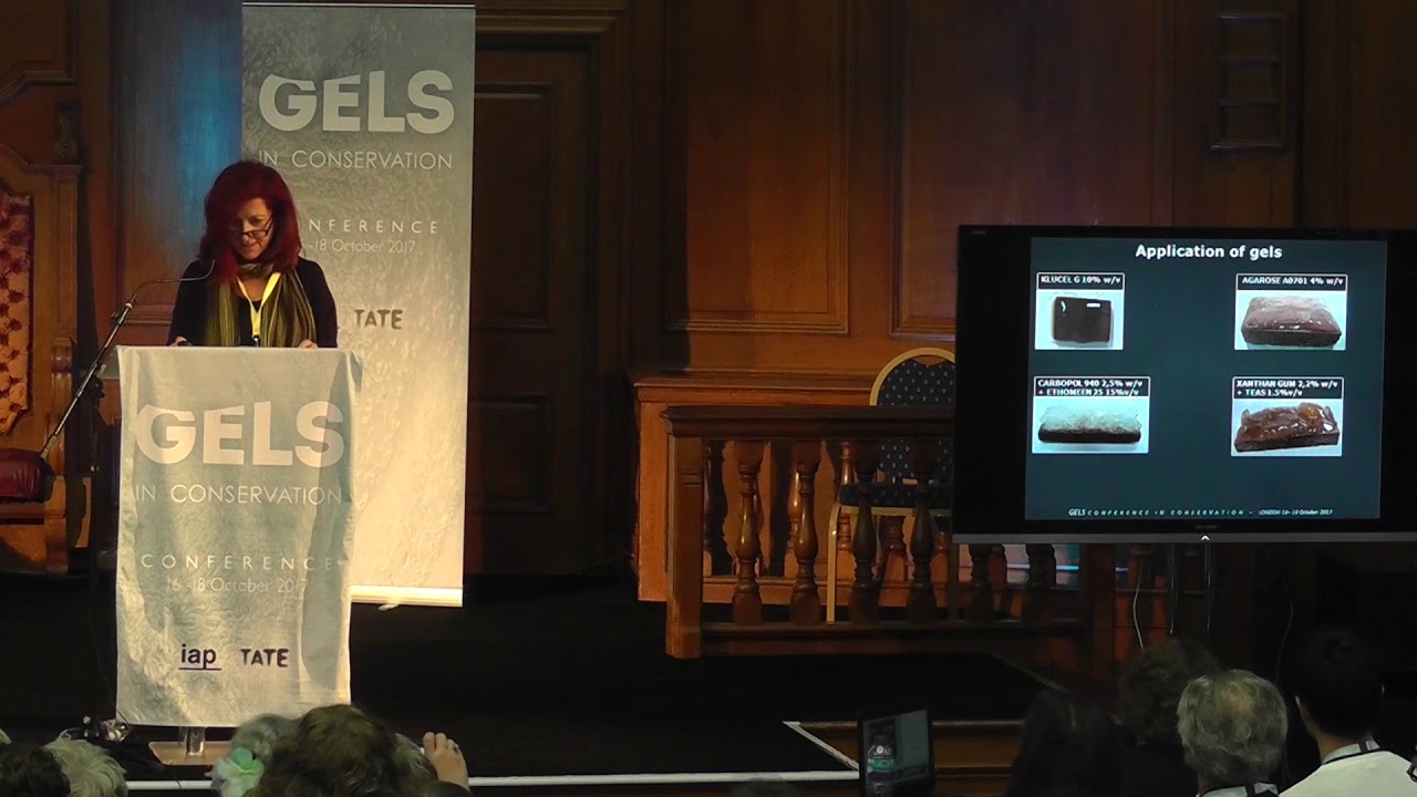 Gels in Conservation - Stavroula Rapti