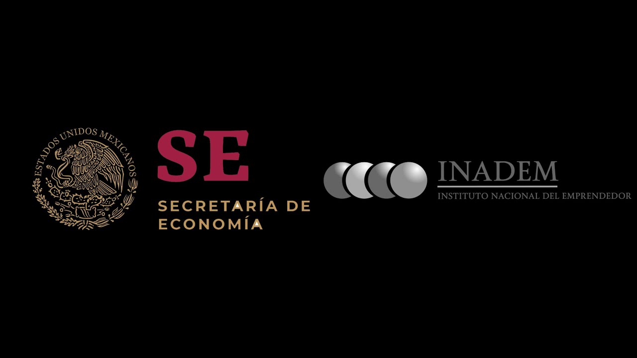 13 PASOS PARA ELABORAR UN PLAN DE NEGOCIO