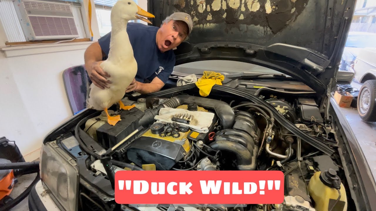 Benzo Helps Fix My Benz! Tranny Troubles Are Now Gone!