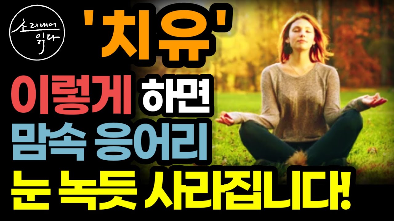 인생의 상처를 치유하는 구체적인 방법! / 이렇게 하세요! 맘속 온갖 응어리 눈 녹듯 싹 사라집니다! / 루이스 헤이 / 책읽어주는여자 SODA's 마음 건강 오디오북 ASMR