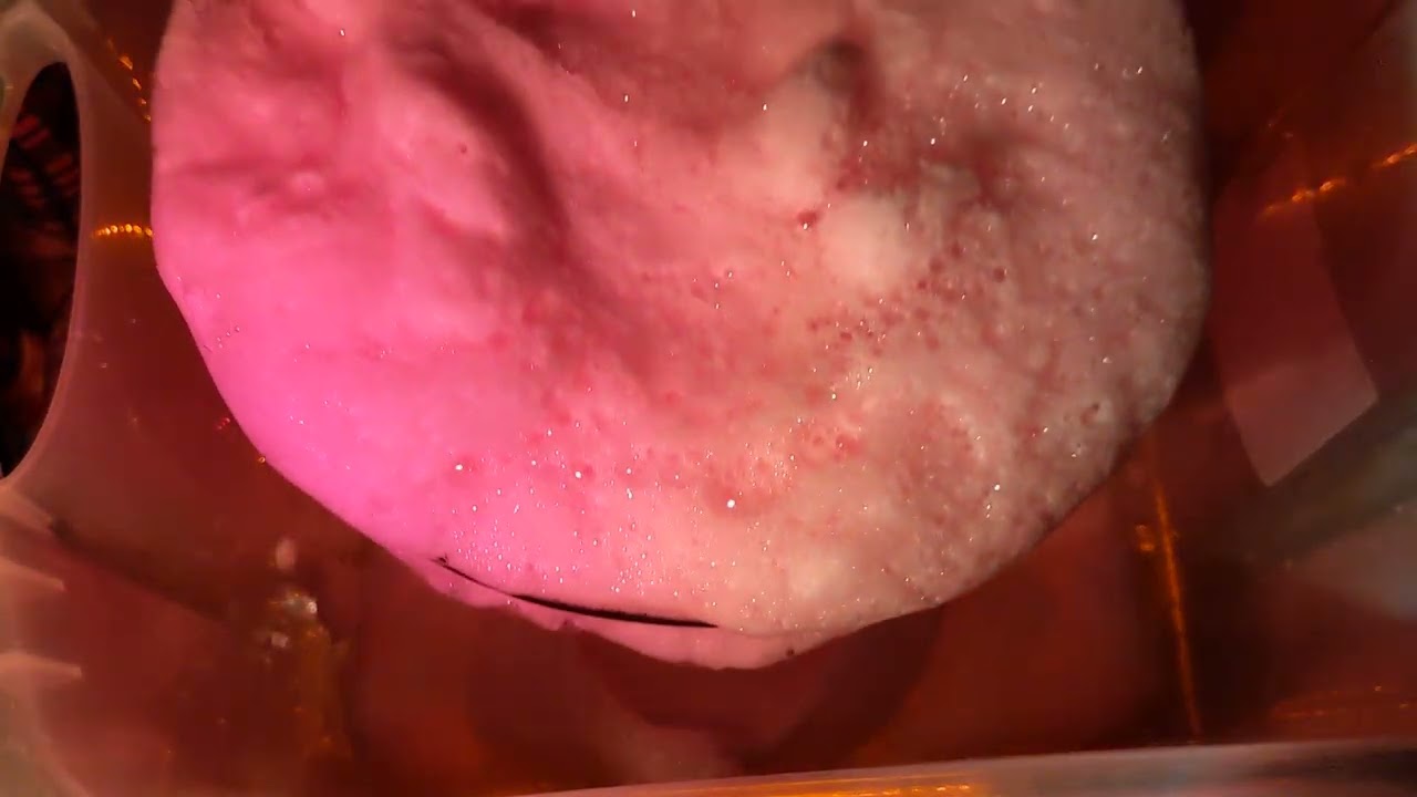 🤍🧡💗 watermelon ajax and citrus fruits Fab overflow 🤍🧡💗