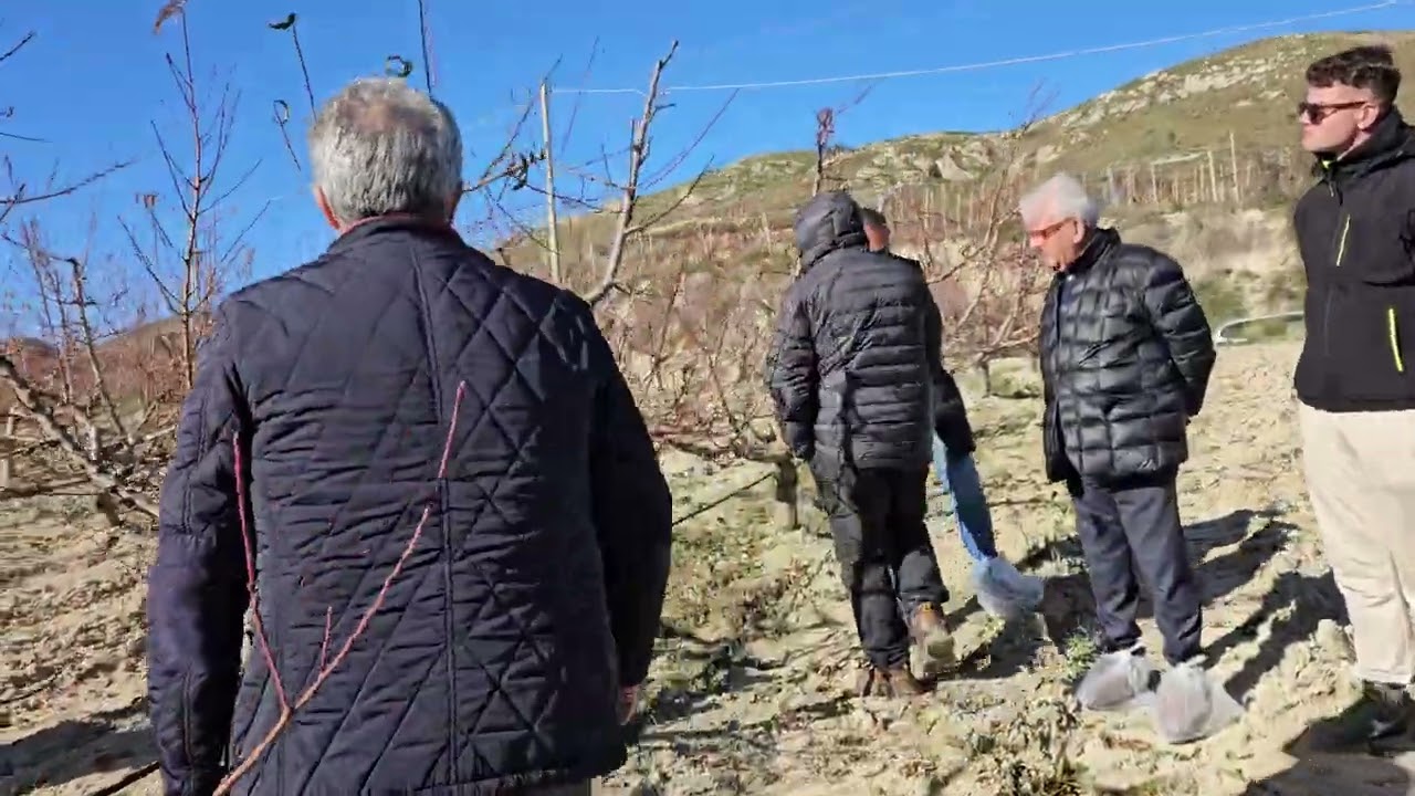 Potatura del Pesco 24/25 seconda parte : Errori  gravissimi e ricorrenti !