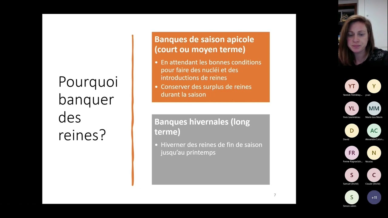 La banque de reines