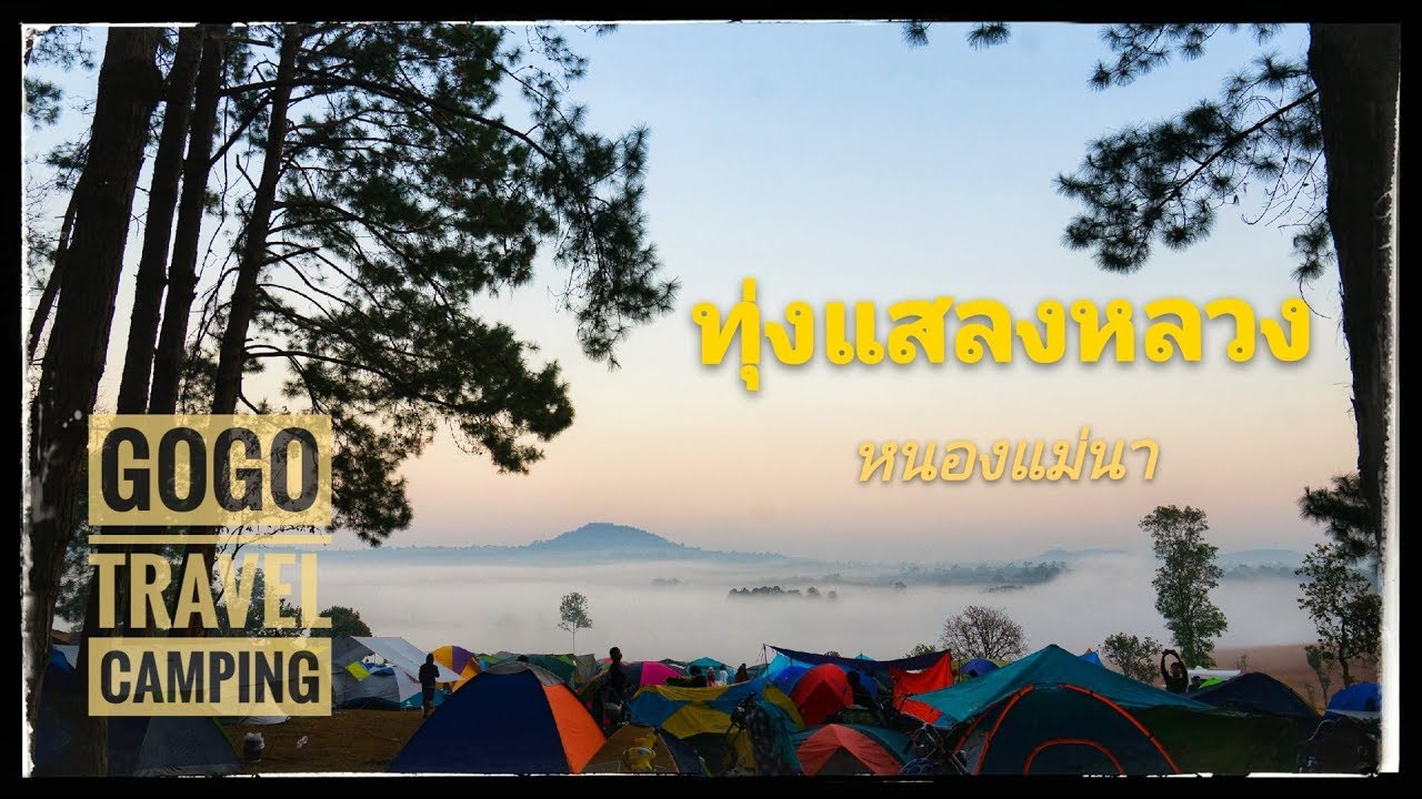 กางเต็นท์ ทุ่งหญ้าและป่าสน ณ.