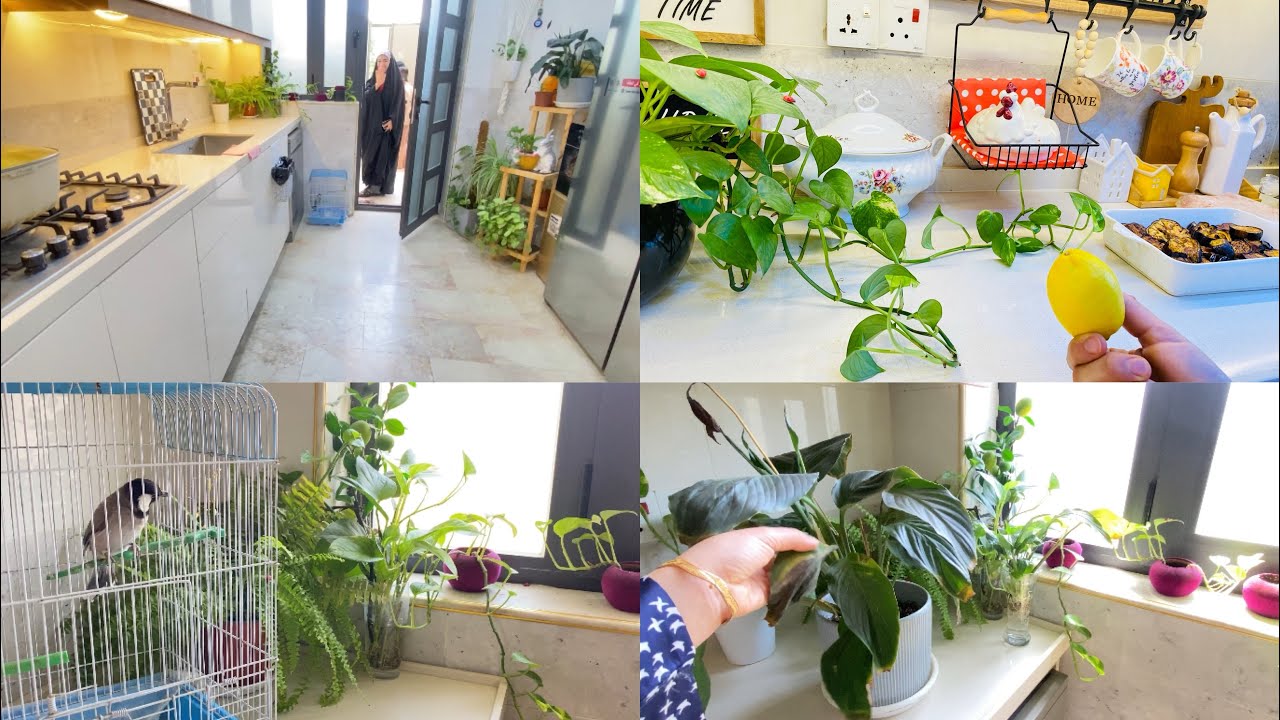 يوم جميل من بيتي 🏠 زارتني اختي💁‍♀️روتين يومي ممتع🌱🪴