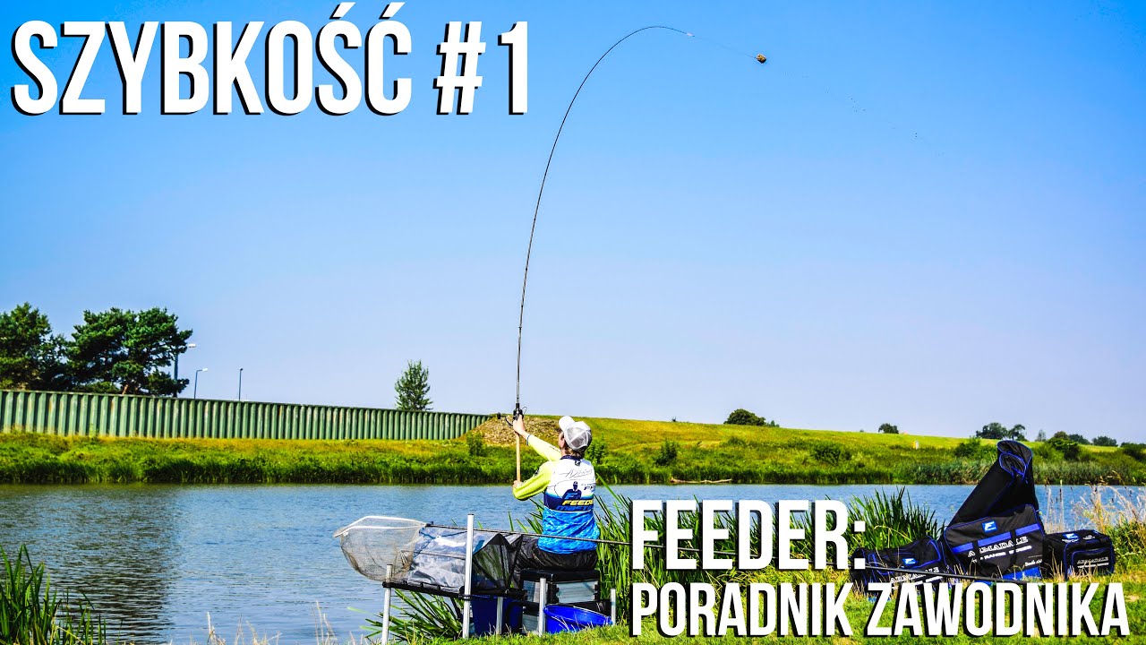 Feeder: poradnik zawodnika #1 - szybkość