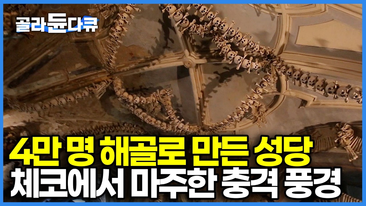 진짜 사람 해골로 장식된 무덤 😱 칼에 꽂아 먹는 중세식 고기 파티와 마시는 온천수까지! 알면 알수록 기막힌 체코 여행의 모든 것｜동유럽 렌터카 여행｜세계테마기행｜#골라듄다큐