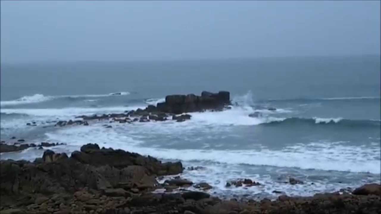 Chant des Dauphins