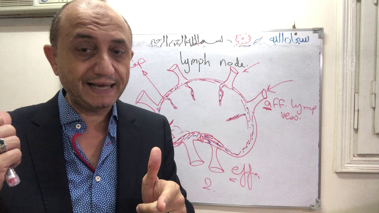 Lymph node