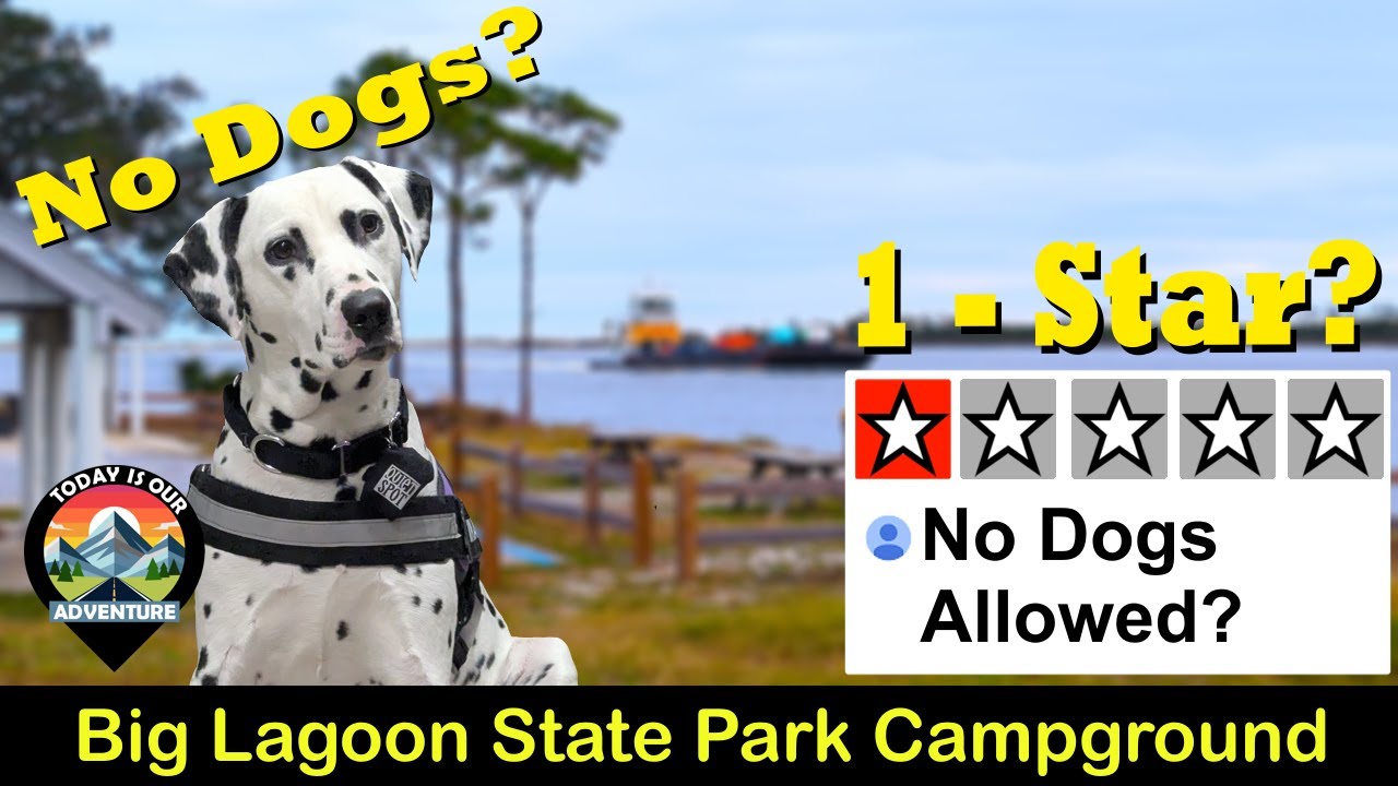 Recenzja kempingu Big Lagoon State Park w Pensacoli na Florydzie #taniekempingi #zimowekempingi