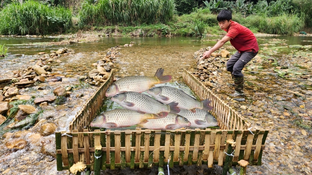 Masterful fishing skills. The boy made his own bamboo fish trap to catch fish in the stream.