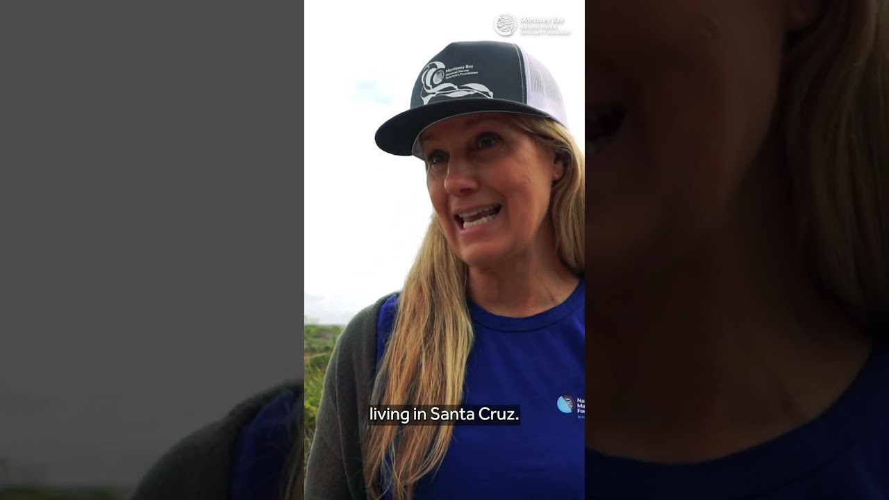 Sea Dubs Marine Sanctuary Field Trip