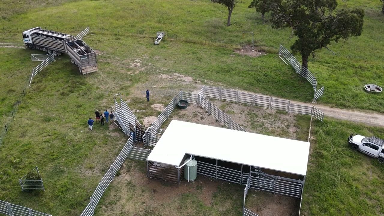 BackTrack - Gotcha Speckle Park