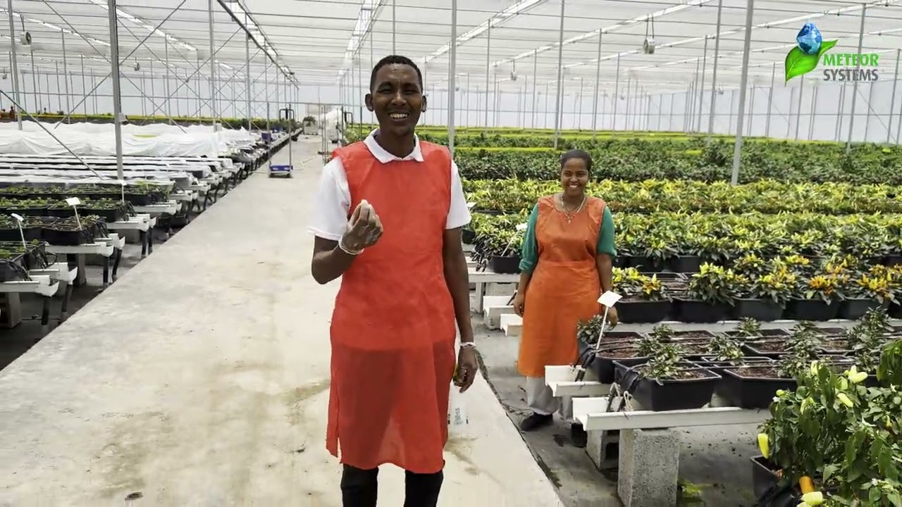 Ethiopia, the promised land where agriculture shapes future generations