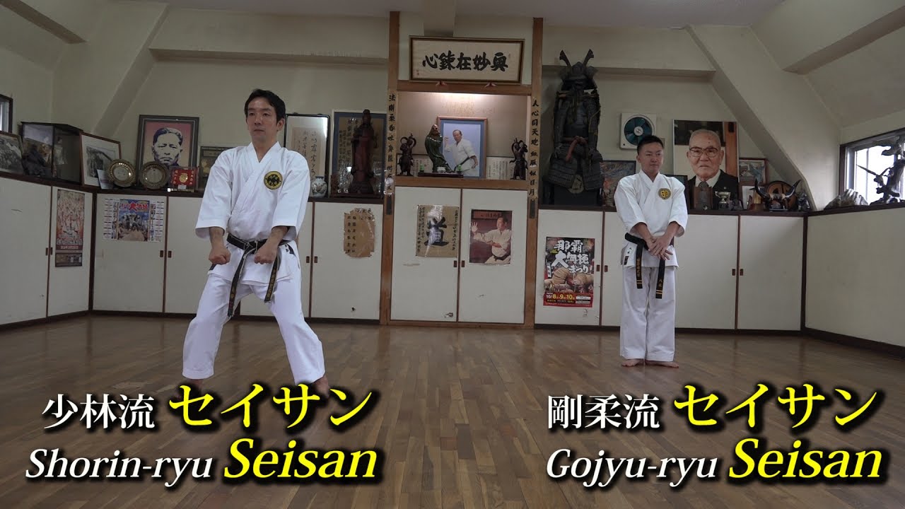 沖縄少林流と剛柔流の型を比べてみたKarate Kata comparison in Okinawa
