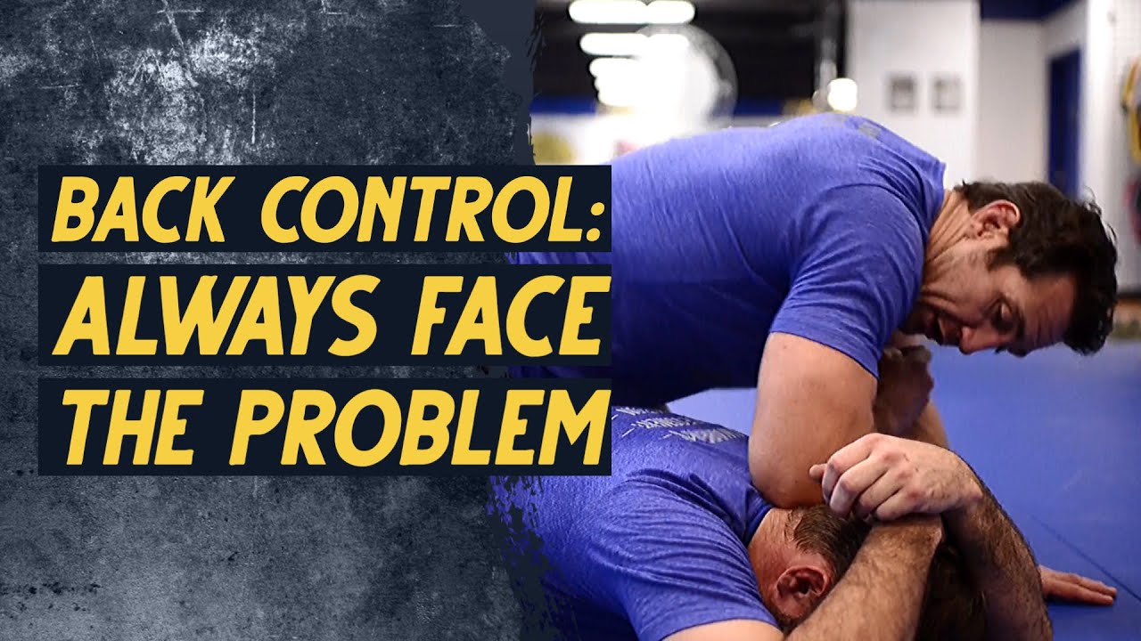 Fighting 101: Always Face the Problem! | Sheepdog Response