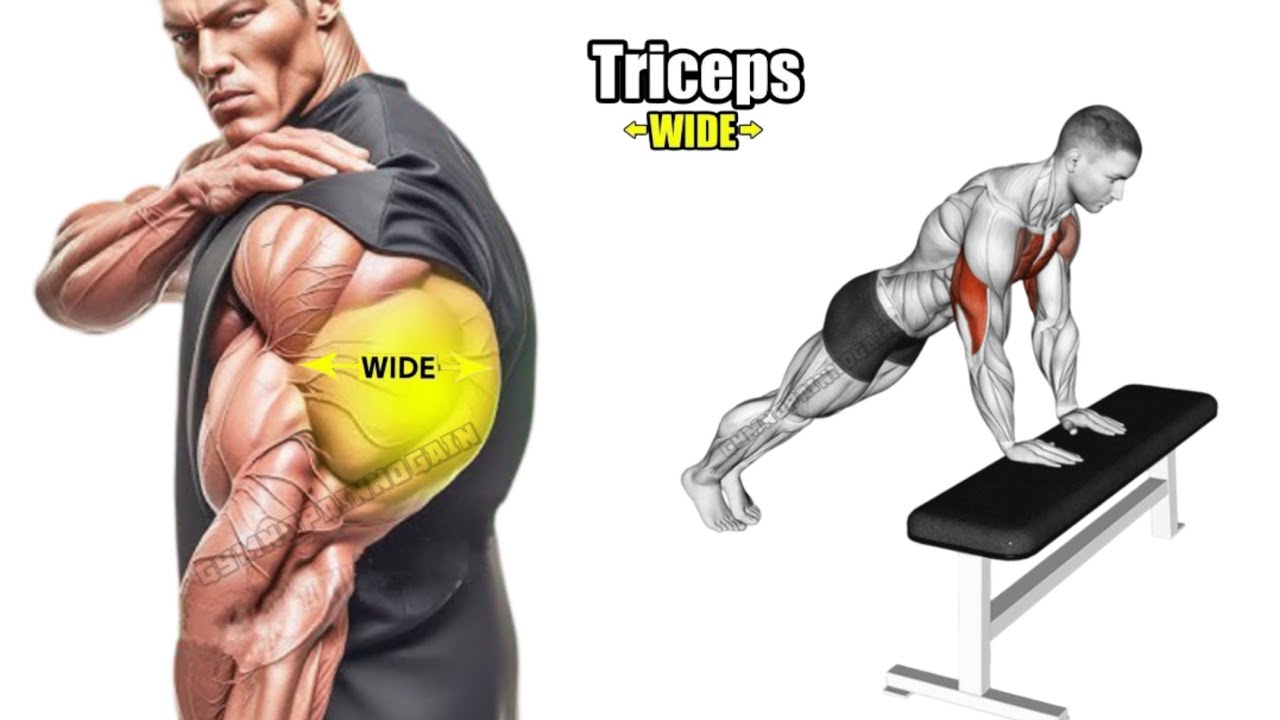 Best Exercise For WIDER Triceps | Don't Miss 