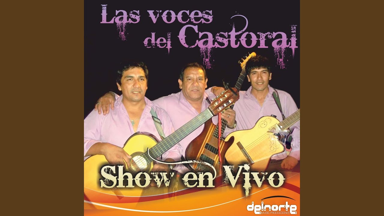 Enganchados Instrumentales En Vivo