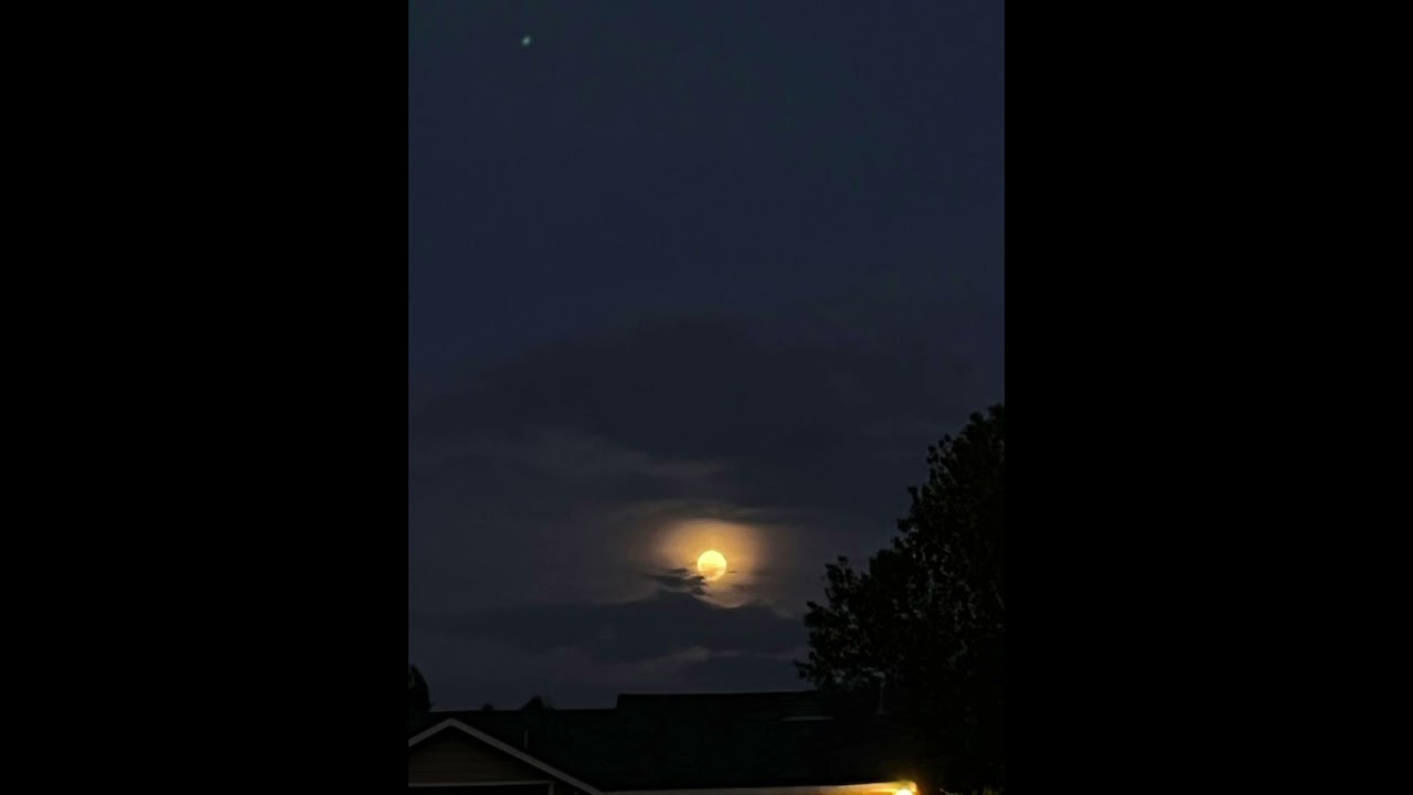 Raven - Aesthetic Moonz