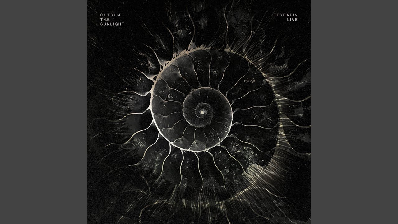 Permanence (Live)
