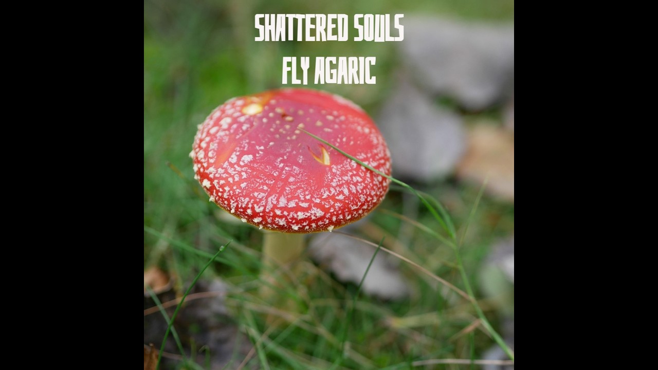 Shattered Souls - Cold, Bitter, Sea