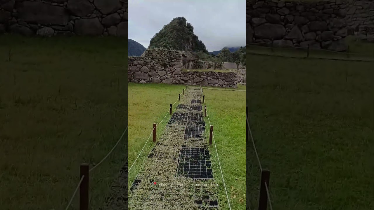 Let's Go to Machu Picchu 
