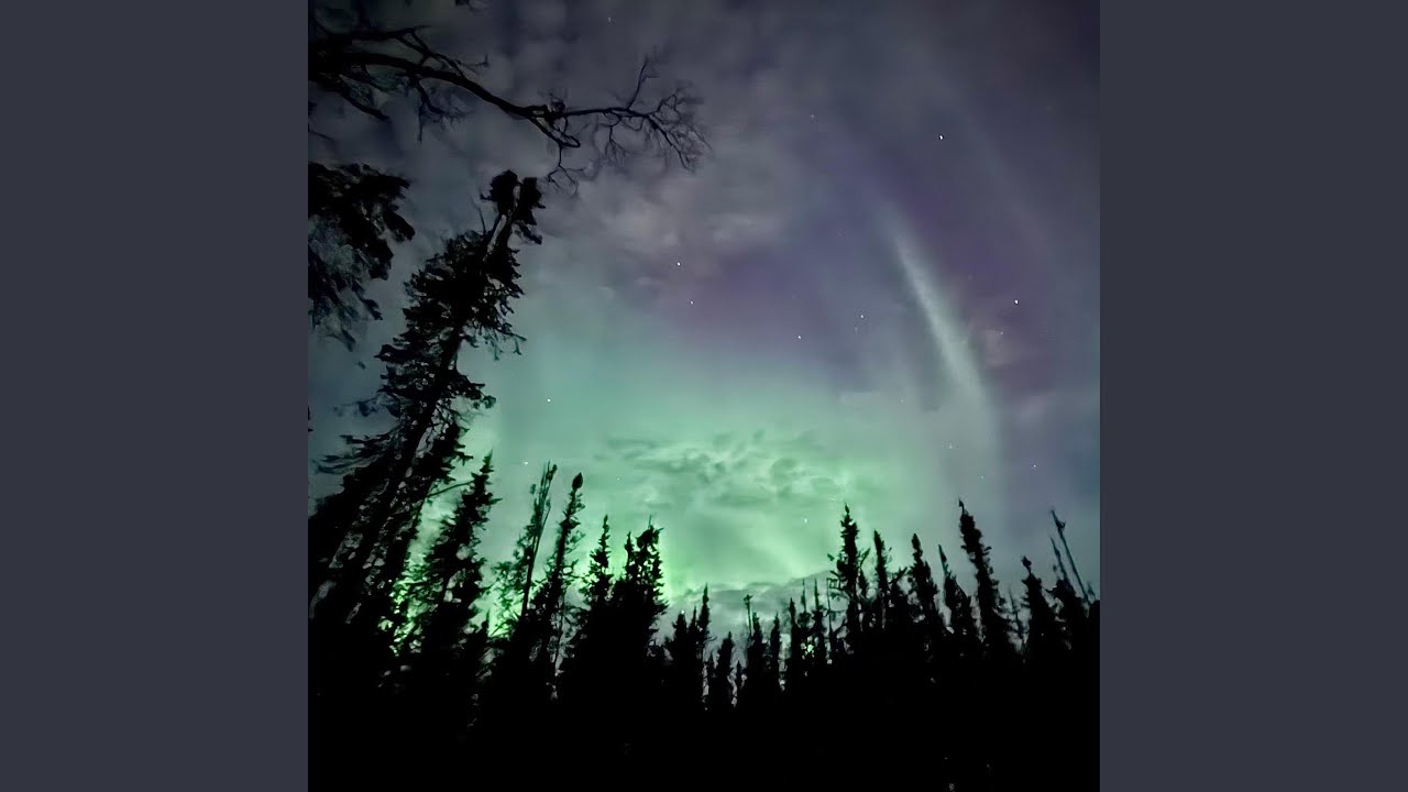 Alaska I Can't Live Without You