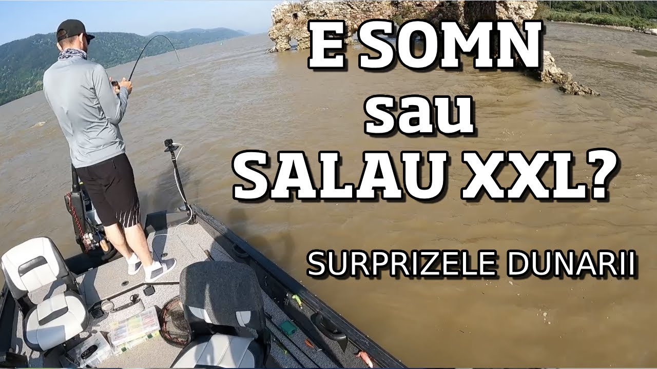 CUM arata ZIUA de PESCUIT PERFECTA pe DUNARE... SURPRIZE si PESTI FRUMOSI
