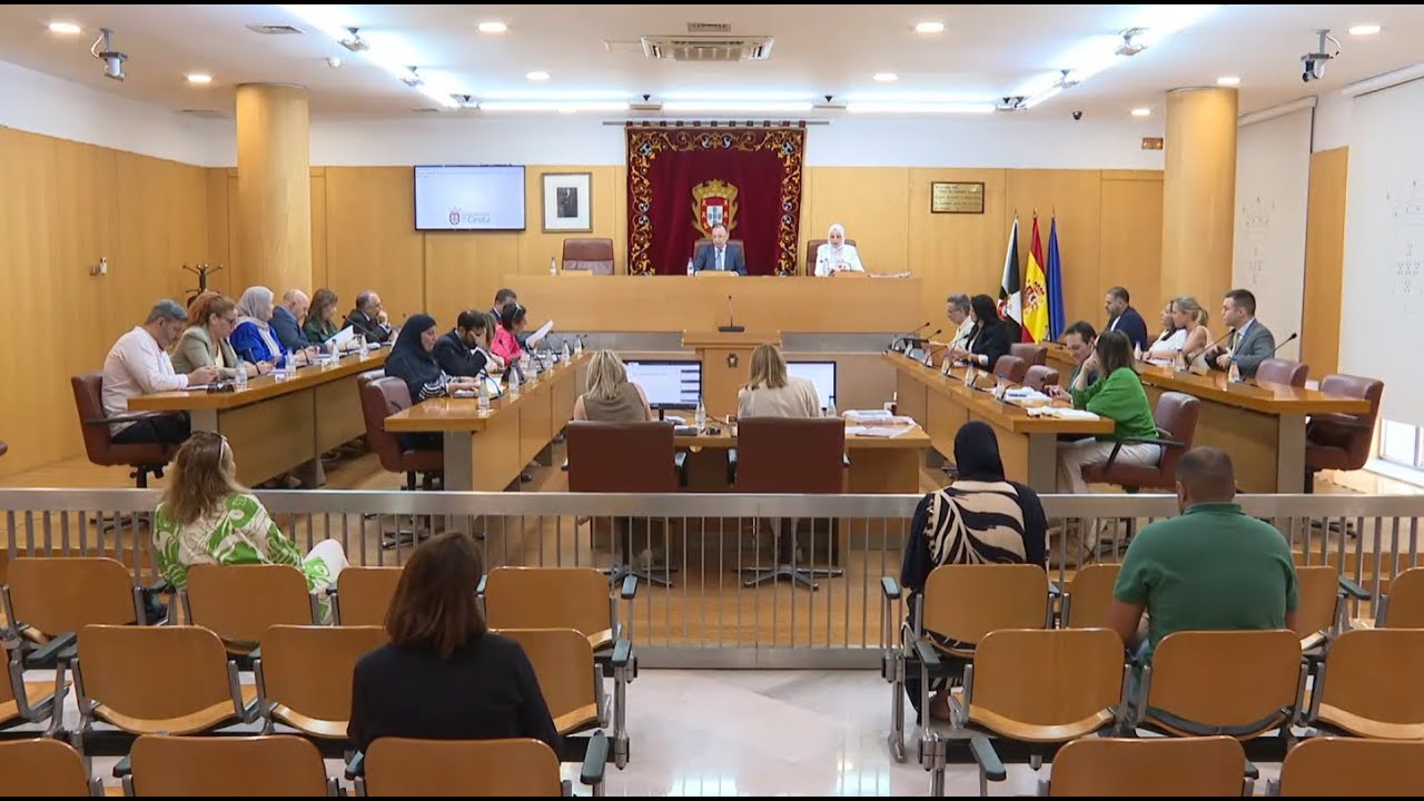 🔴 Pleno sesión ordinaria de control del mes de febrero 2026