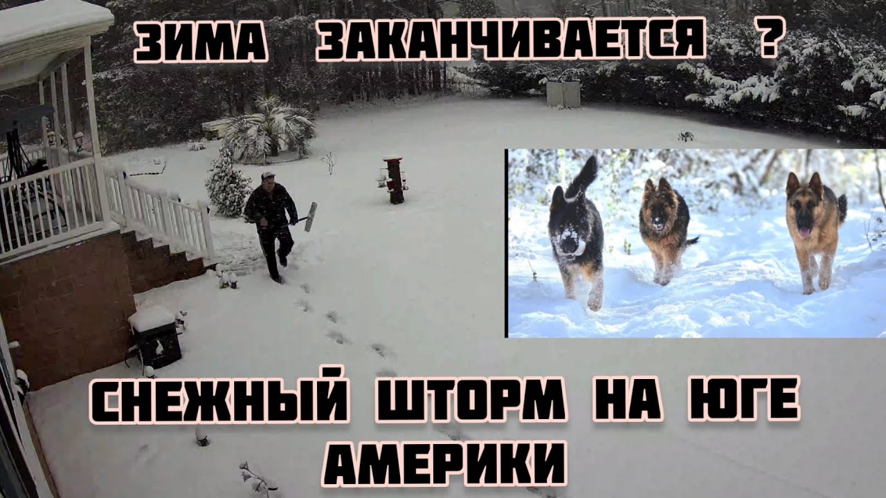 СНЕЖНЫЙ ШТОРМ  В ЮЖНОЙ КАРОЛИНЕ  USA 🇺🇸  НЕУЖЕЛИ ЗИМА ЗАКАНЧИВАЕТСЯ  ? 