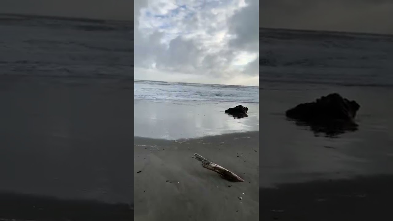 Opotiki Beach Waves[Relaxation Feels!!!!!]