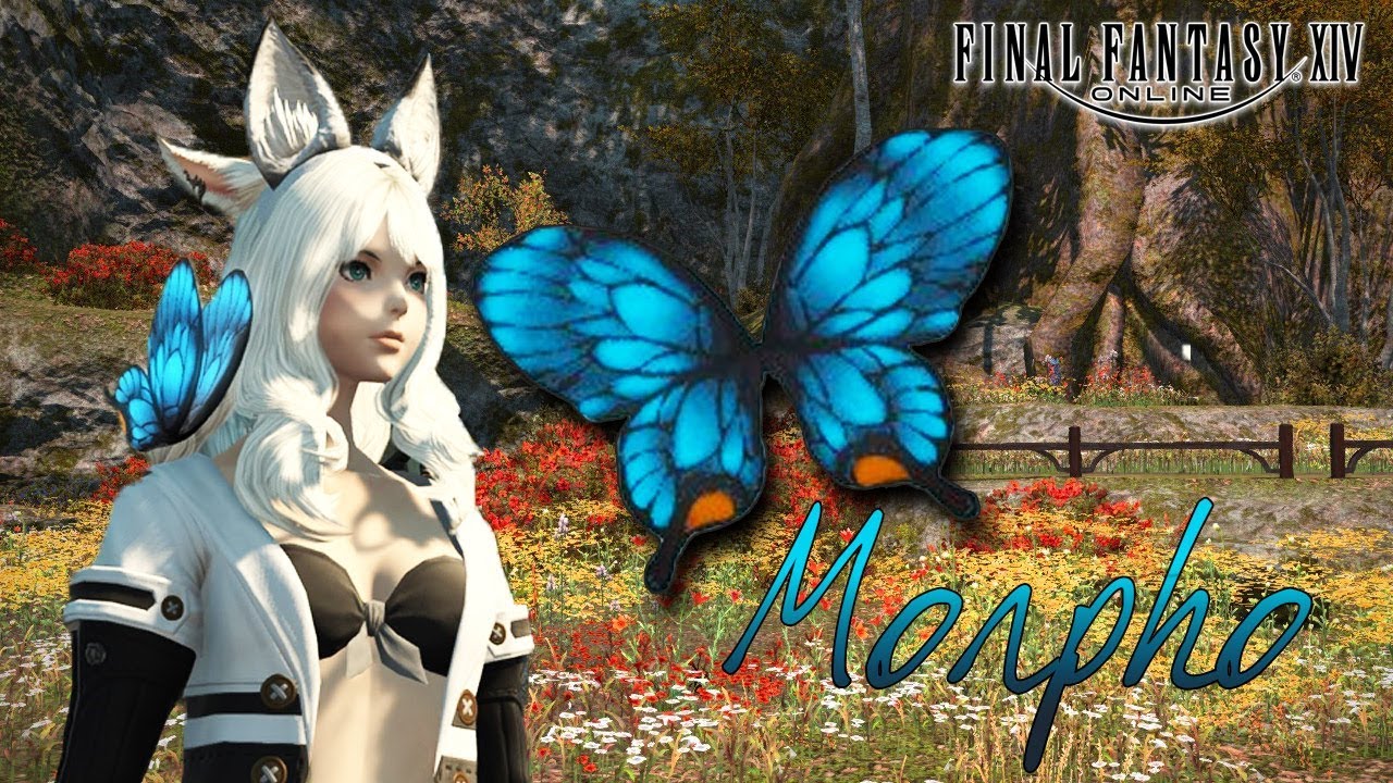 Morpho Minion Guide