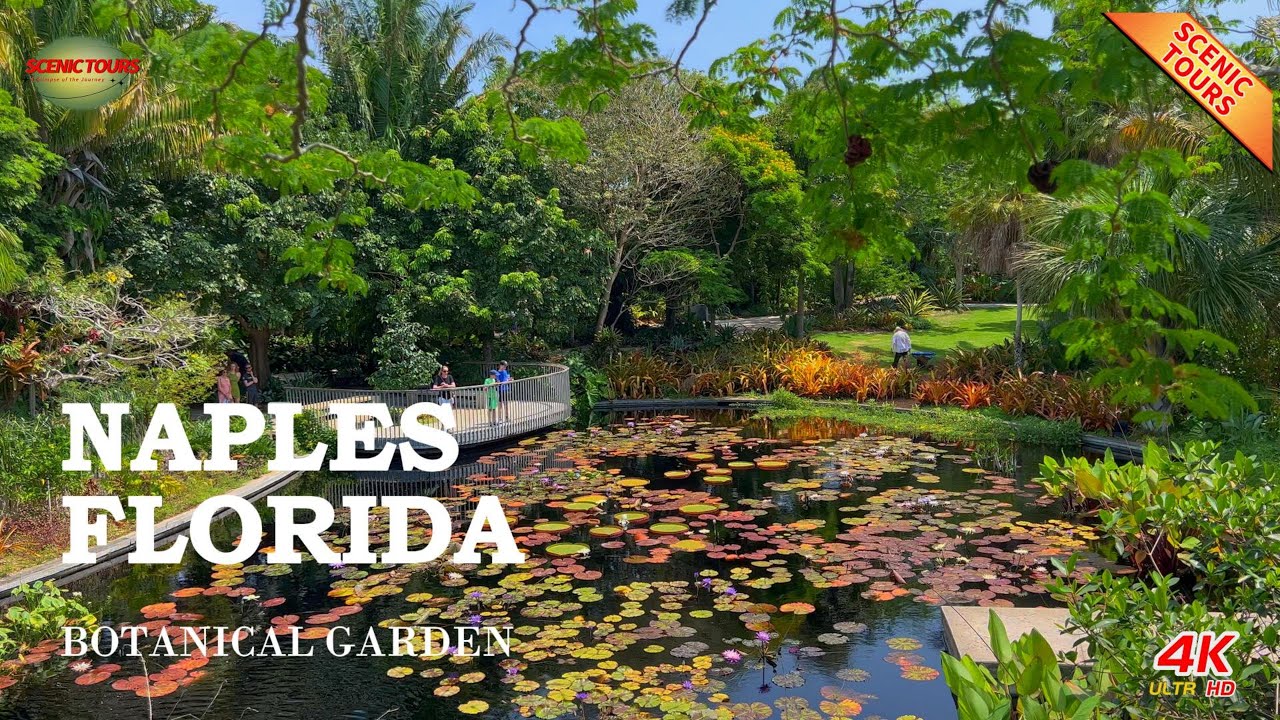Florida Naples Scenic Walking Tour | Naples Botanical Garden | 4K 60fps