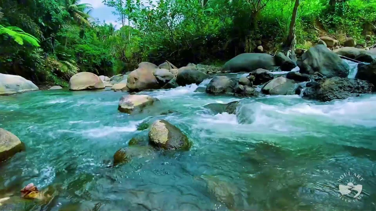 Relaxing River Sounds for Sleeping | Peaceful Natural Water Stream for Stress Relief
