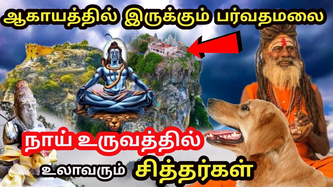மிரளவைக்கும் பர்வதமலை பயணம் | Parvathamalai Hill Complete tour Guide | Tiruvannamalai 2