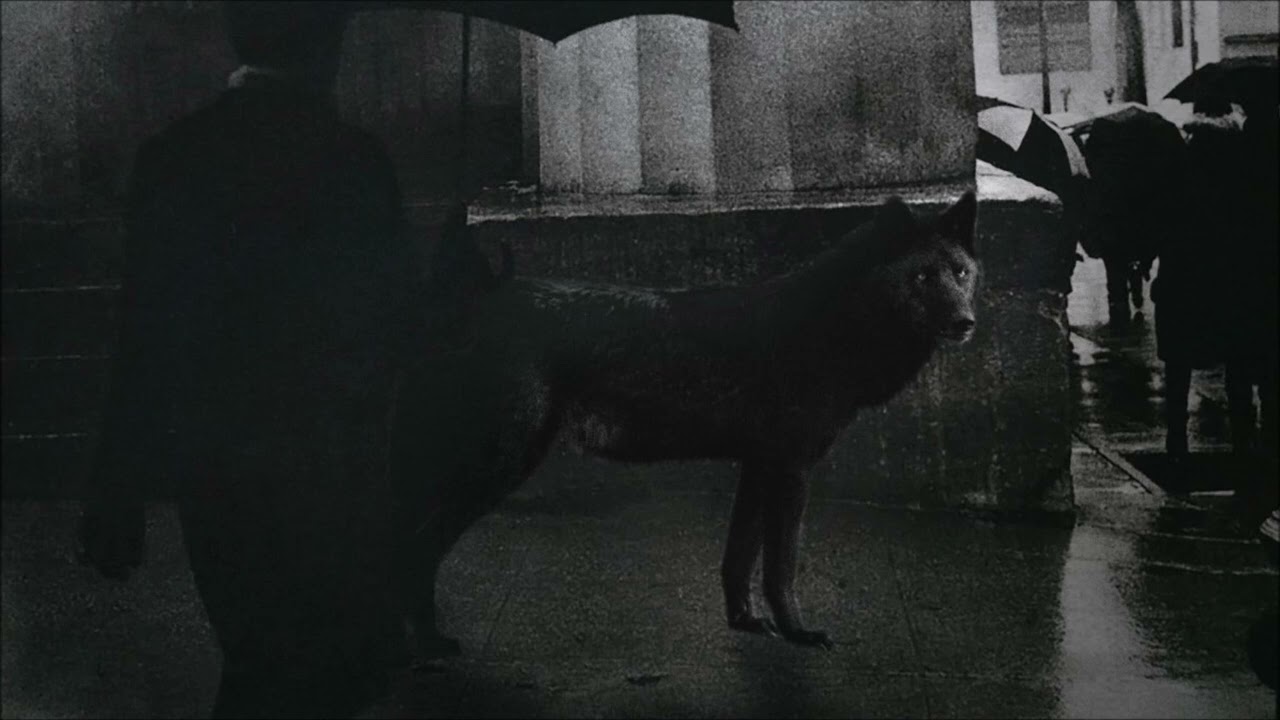 Tha God Fahim, Your Old Droog - Tha Wolf On Wall St (Instrumental)