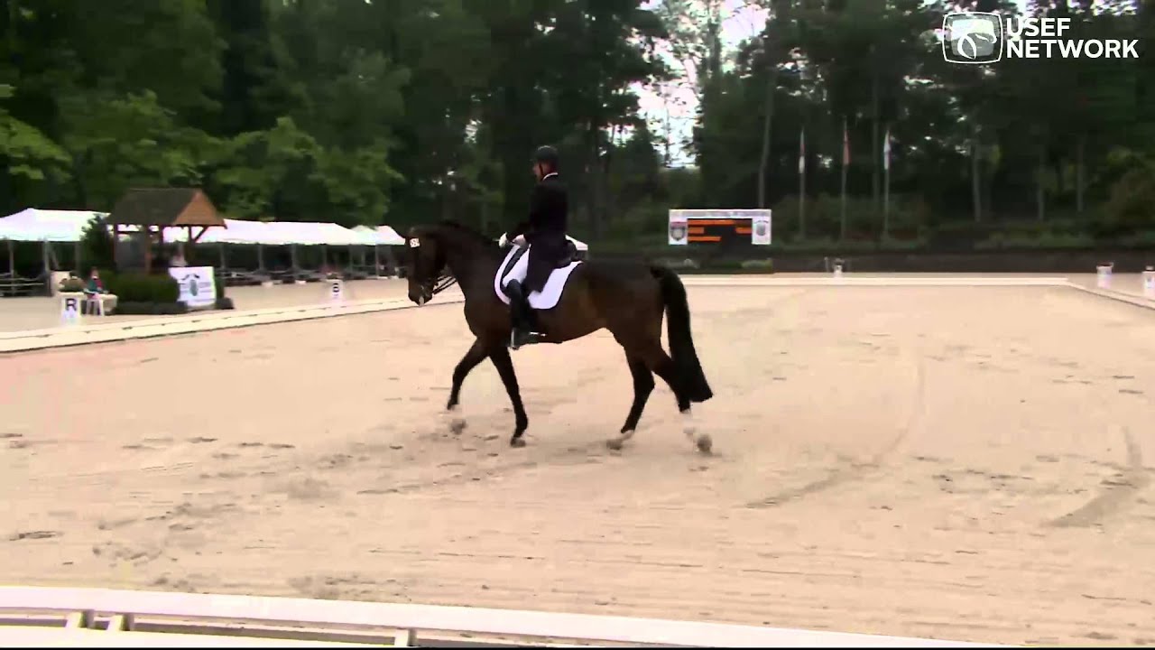 Steffen Peters & Rosamunde win Prix St. George at 2014 Festival of Champions