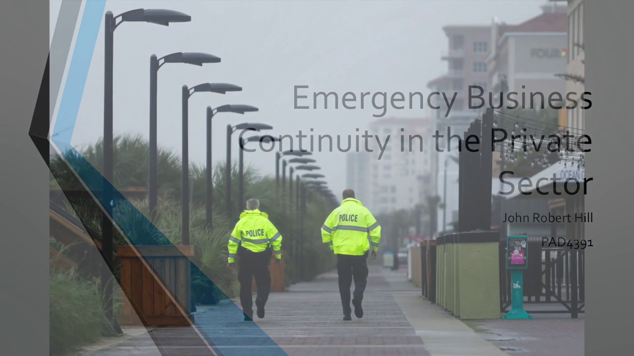 Emergency Business Continuity Plans in the Private Sector
