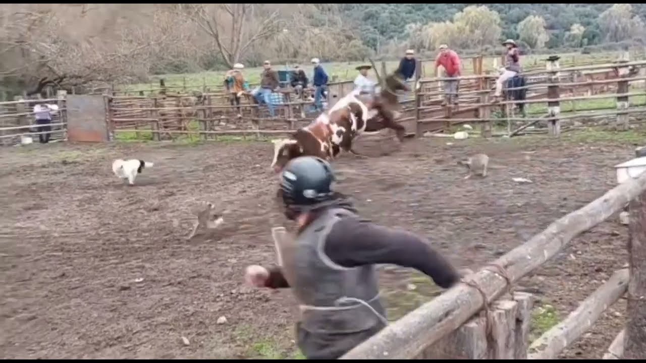 domaduras extremas