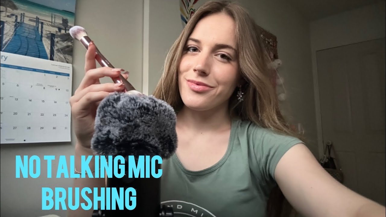 ASMR No Talking Mic Brushing
