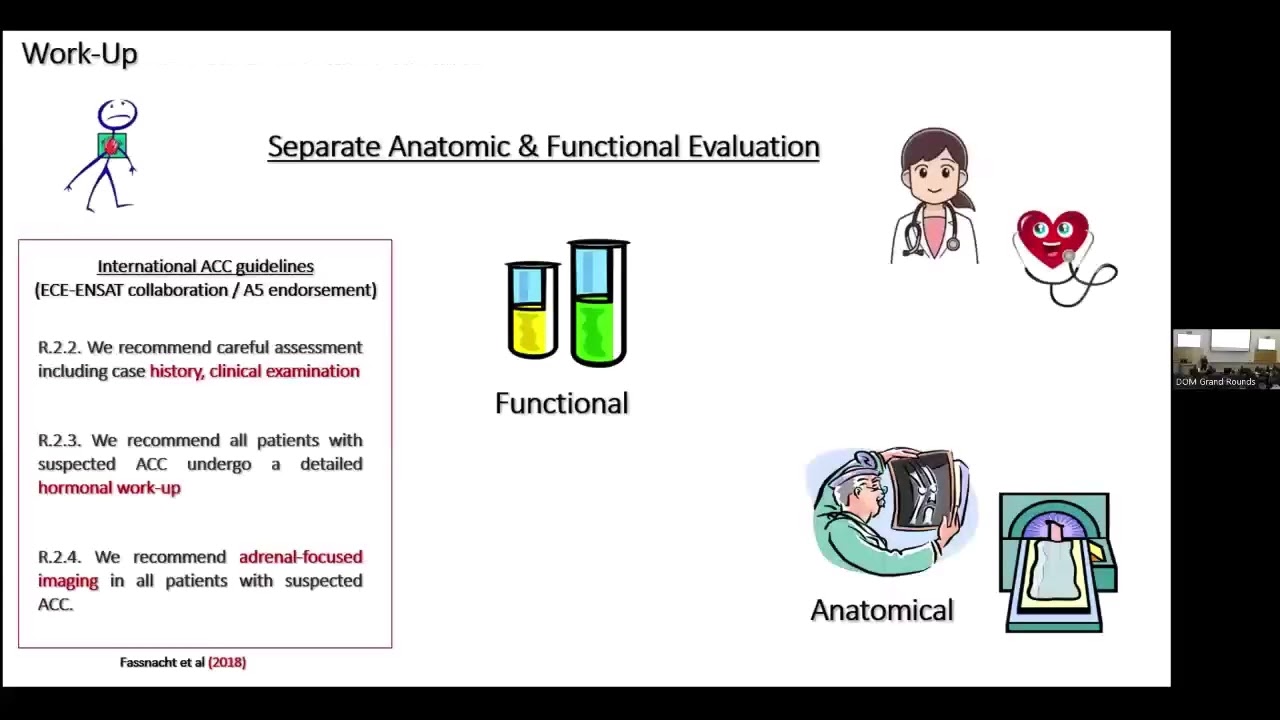 Department of Medicine Grand Rounds | Gary Hammer, MD, PhD