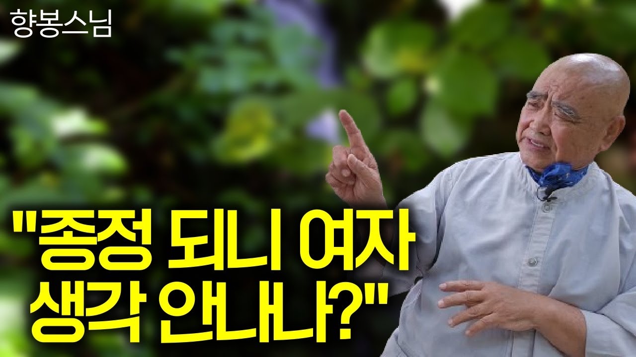 사자새끼를 낳지못하는 사자들. 왜 스승을 능가한 제자들은 없는가  |향봉스님3 #성철스님 #'사랑하며 용서하며' #춘성스님
