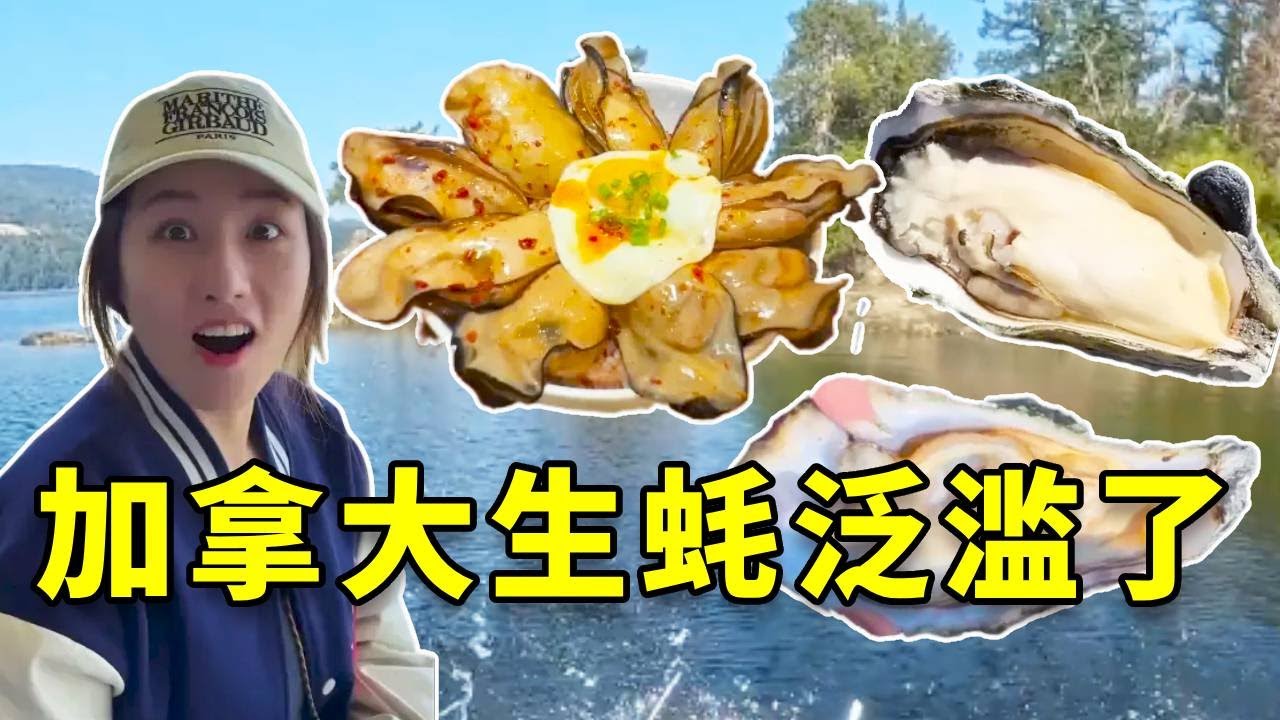 加拿大生蚝泛滥成灾！遍地都是生蚝王，吃到腻是种什么体验？我一年内都不想再看见生蚝了 #生蚝 #加拿大 #大豪夫妇