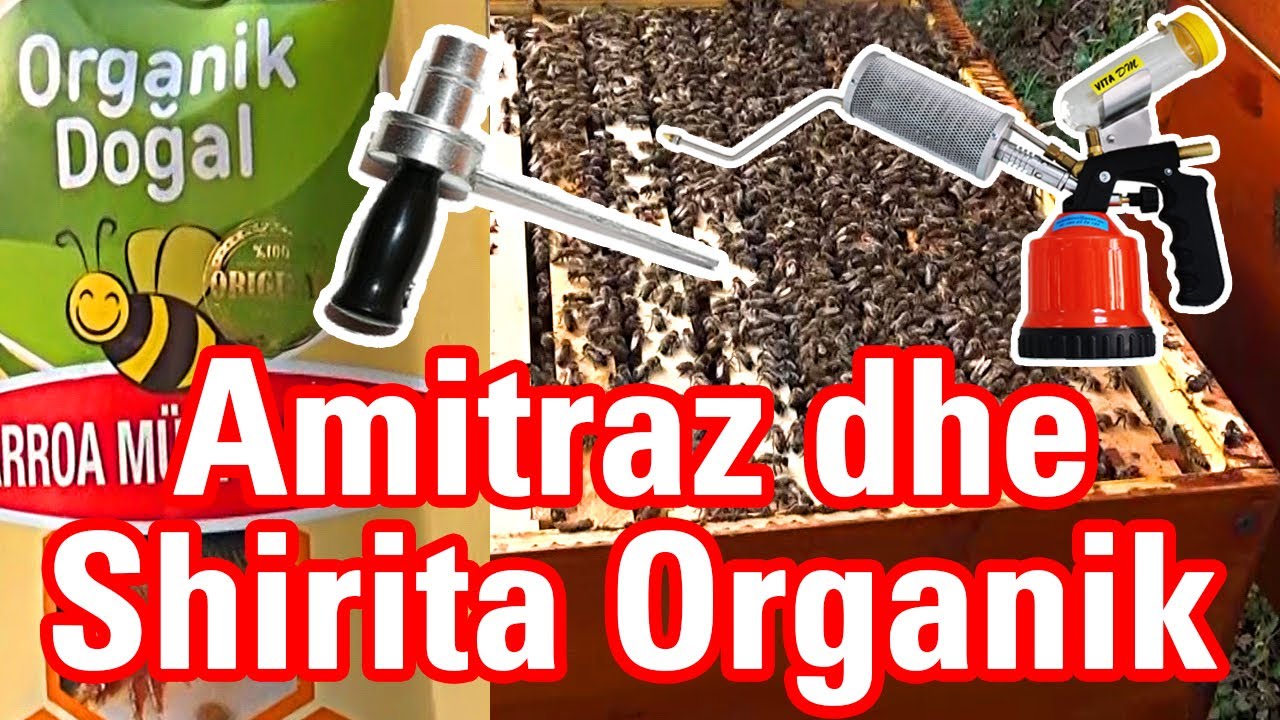 🔴Episodi 7: Trajtimi me amitraz dhe shirita [ Bletaria Shqip ]