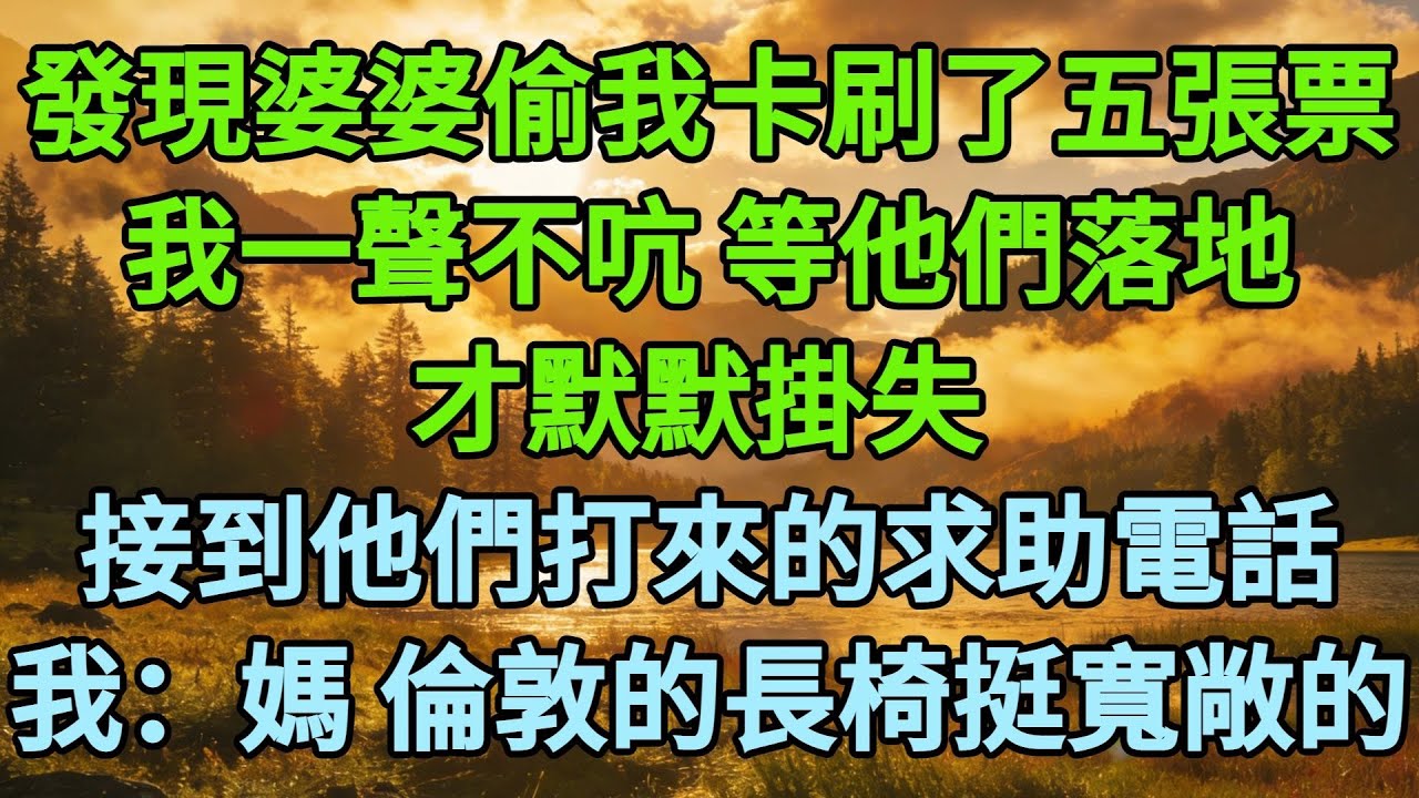 發現婆婆偷我卡刷了五張機票，我一聲不吭，等他們全家落地，才默默掛失。接到他們的求助電話時，我：“媽，倫敦公園的長椅，聽説挺寬敞的。”#為人處世#生活經驗#情感故事#故事#小説#戀愛#情感#婚姻
