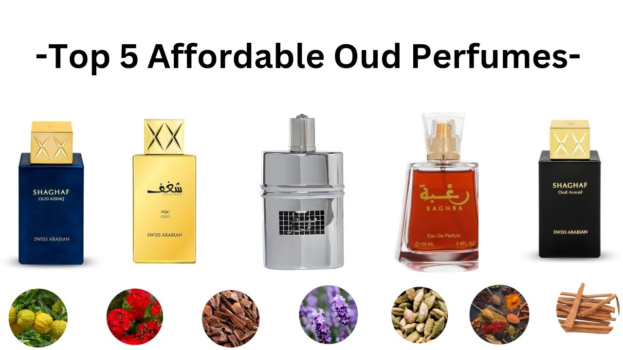 Top 5 Affordable Oud Perfumes | Swiss Arabian | Lattafa | Rasasi | Mr punjabi Official