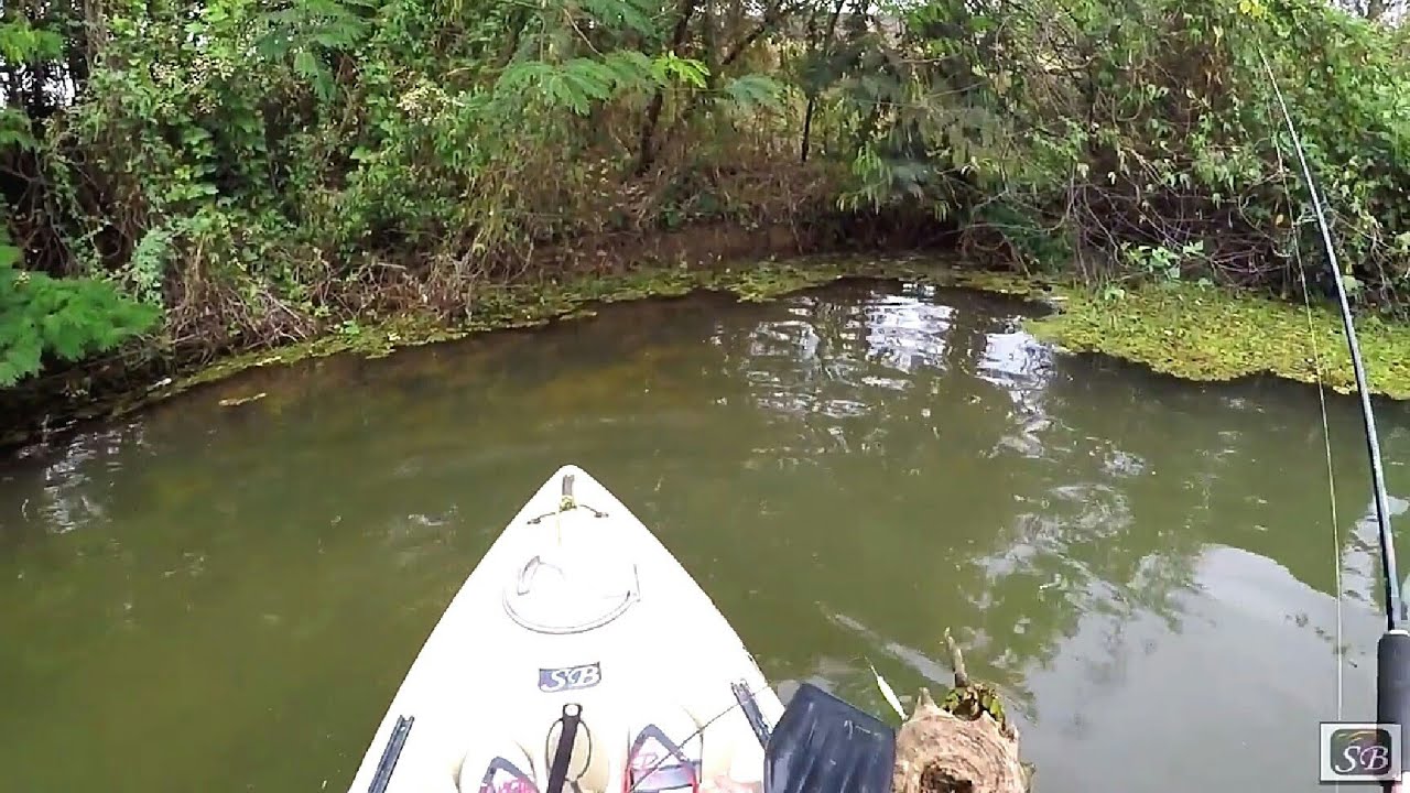 Pescaria na represa de Itueta, Rio Doce.