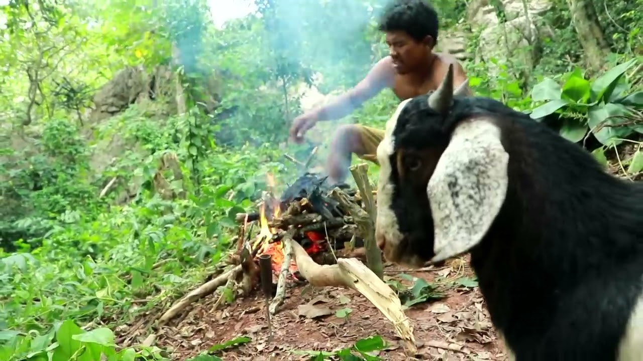 adventure in forest - Bezoar Ibex - hungry men Eating Chickens delicious